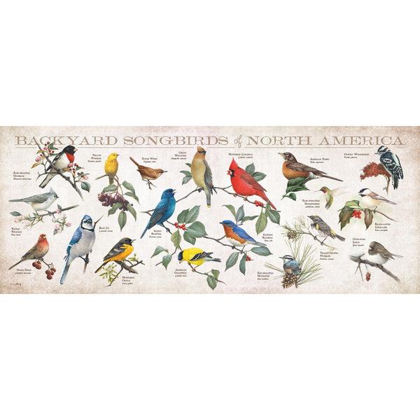 Backyard Songbirds of North America 12" x 30" Wood Sign - Wild Wings