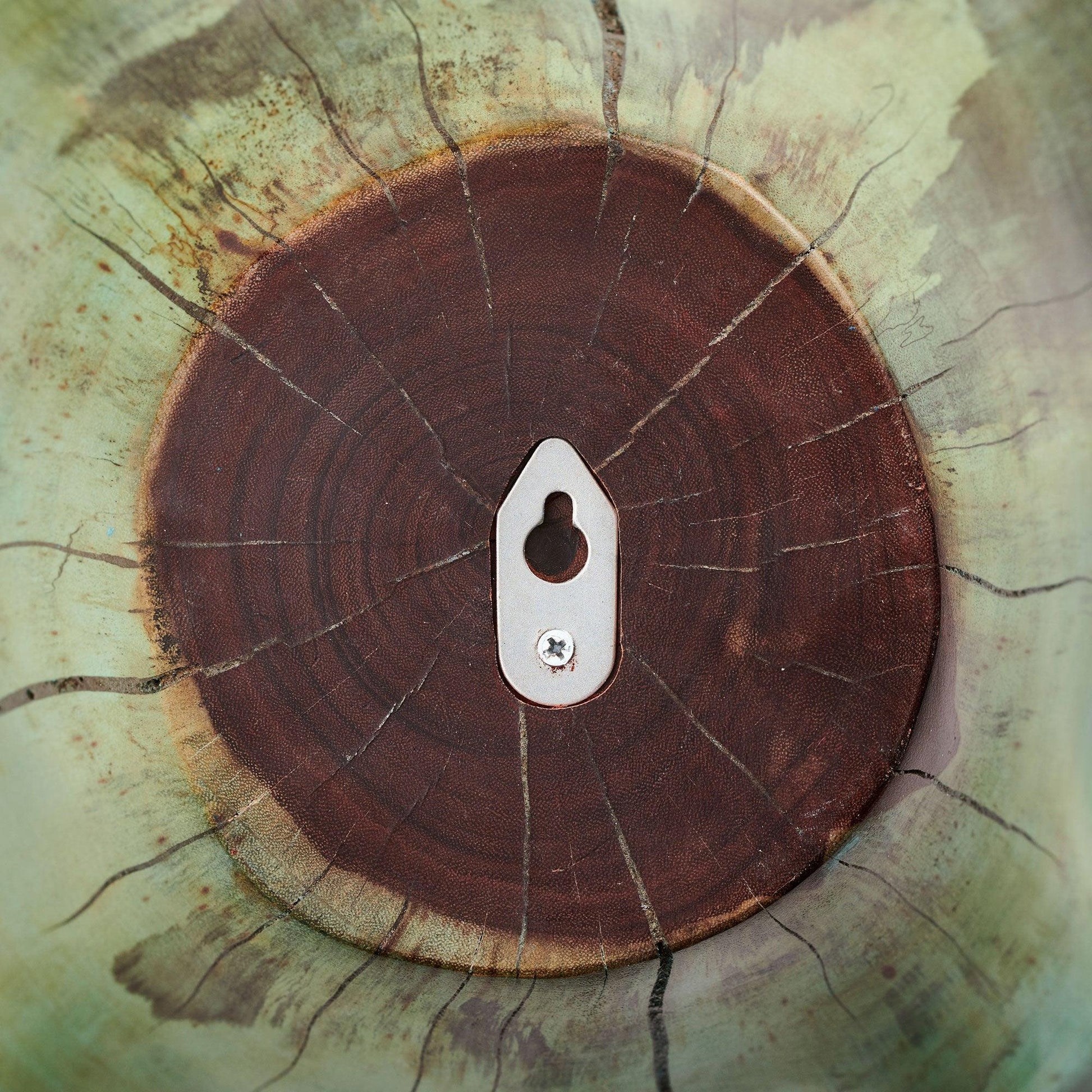 Caribbean Blue Wall Decor (Set of 3) - Wild Wings