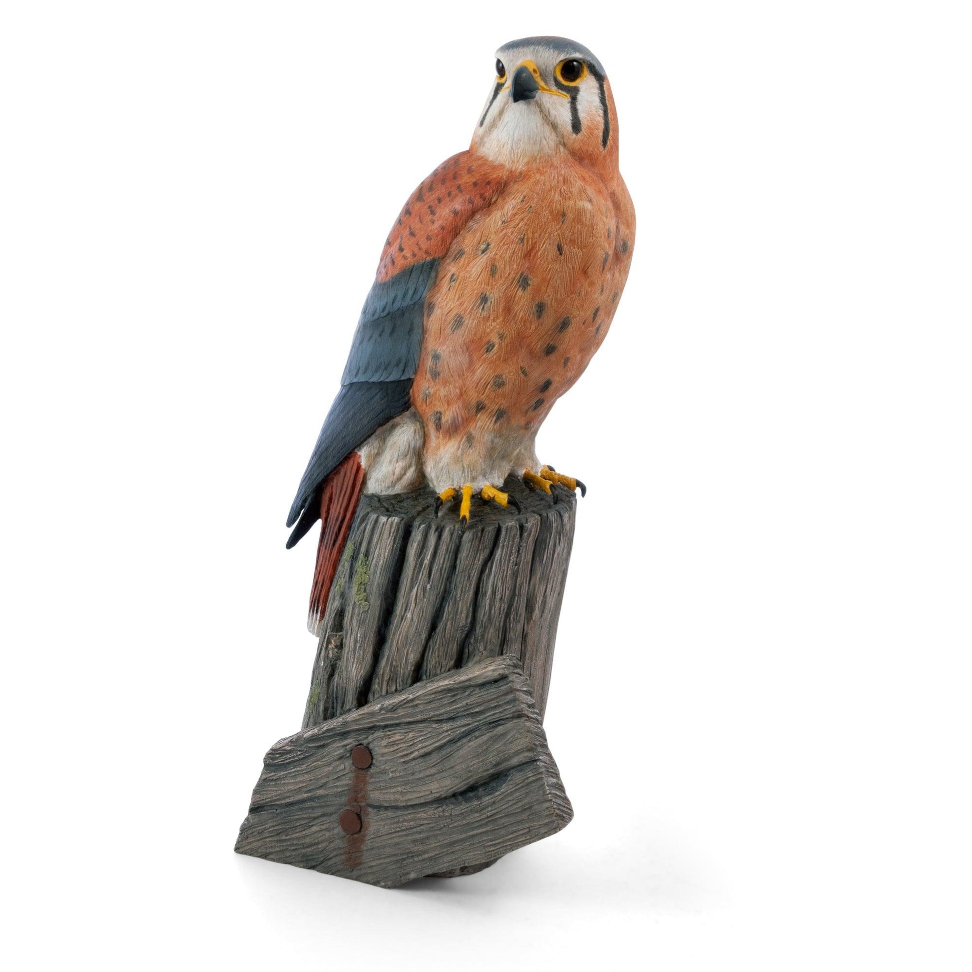 Kestrel Sculpture - Wild Wings
