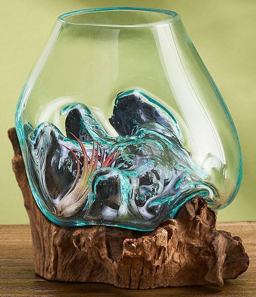 Glass Cast Teak Sculpture - Wild Wings