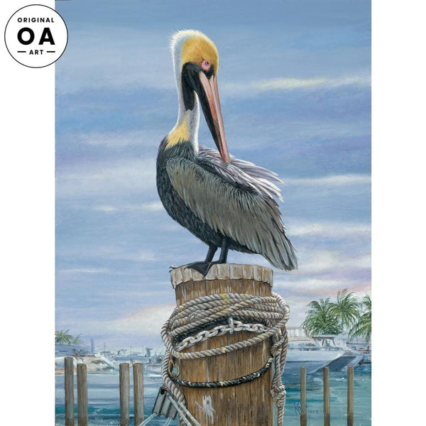 Preening—Brown Pelican Original Acrylic Painting - Wild Wings