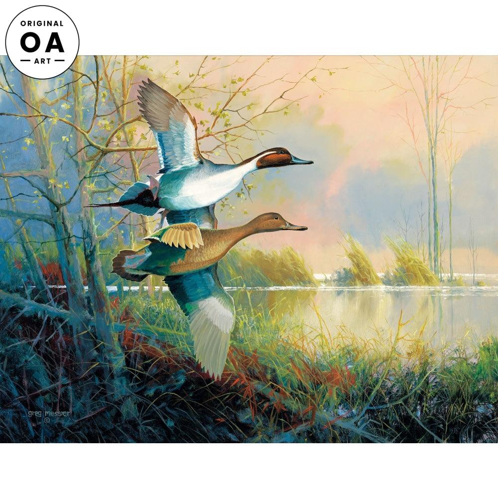 Pintails Original Oil Painting - Wild Wings