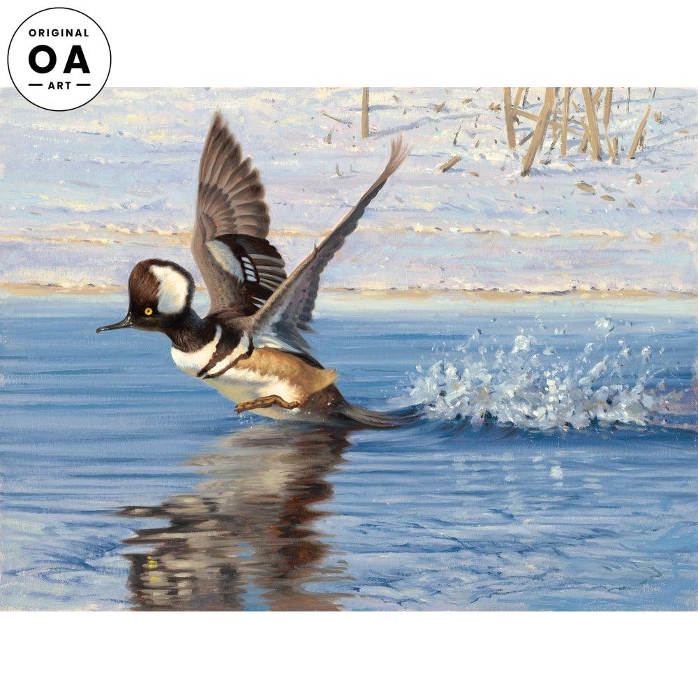 Pitter Patter—Merganser Original Oil Painting - Wild Wings