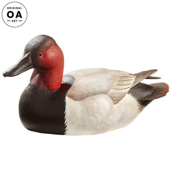 Canvasback Duck Wood Original Wood Carving - Wild Wings