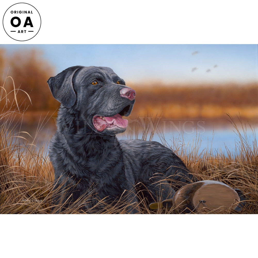 Great Expectation—Black Lab Original Acrylic Painting - Wild Wings