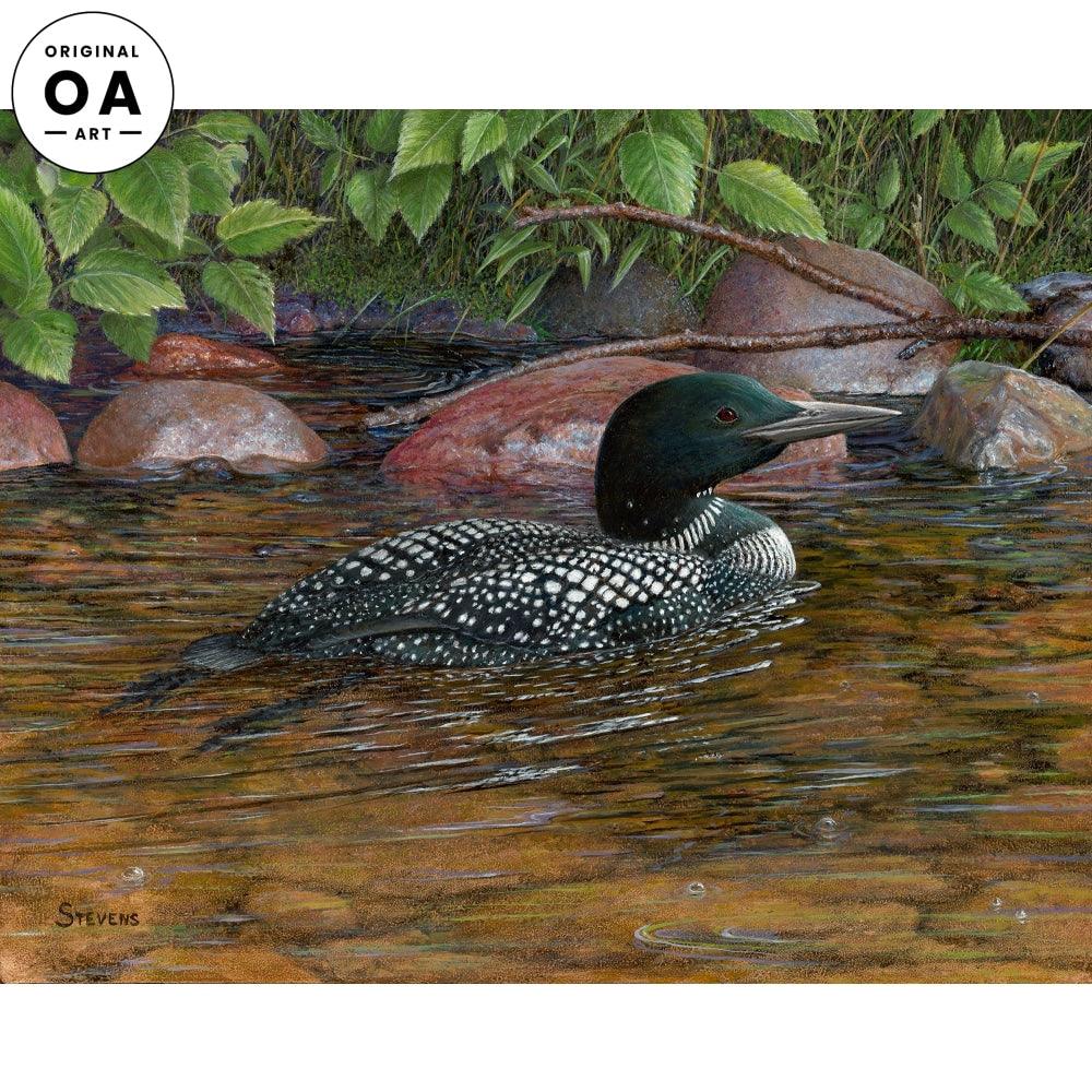 Clearwater Retreat—Loon Original Oil Painting - Wild Wings