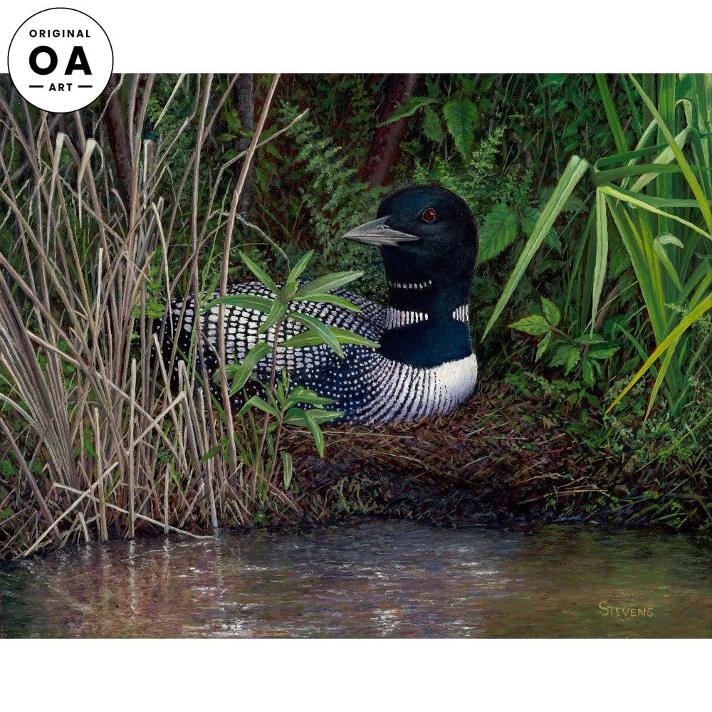 Keeping Watch—Loon Original Oil Painting - Wild Wings