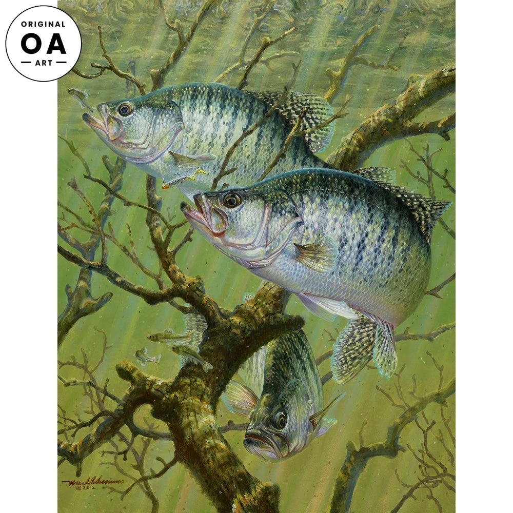 Brush Bite—White Crappie Original Oil Painting - Wild Wings
