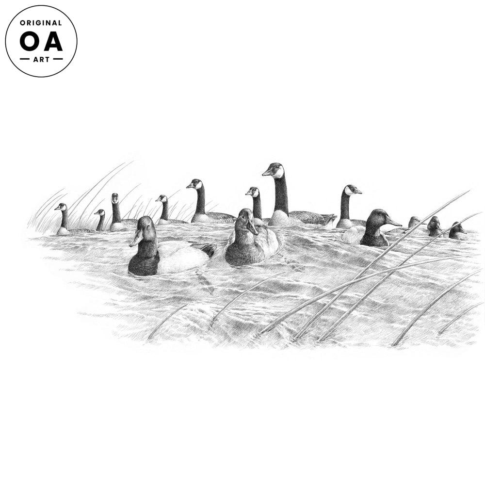 Canvasbacks & Canada Geese Original Pencil Drawing - Wild Wings