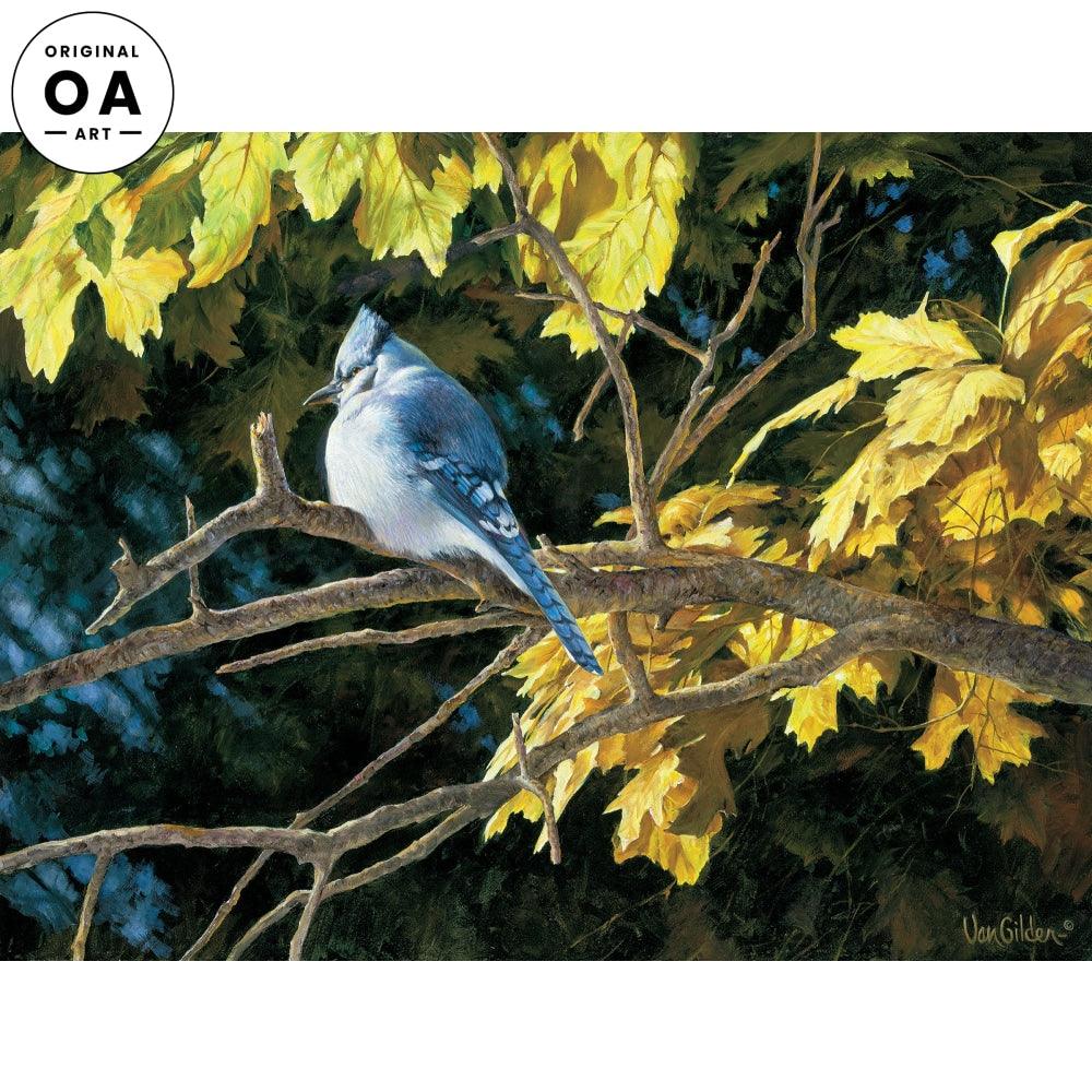 Chill in Air—Bluejay Van Gilder Original Oil Painting - Wild Wings