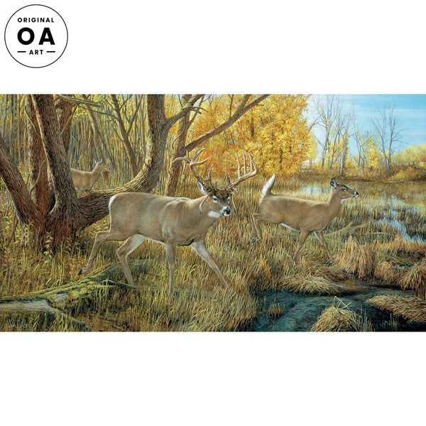 洋楽 Stock, Hausen & Walkman Venetian Deer CD A913735265_grande.jpg?v=1762528561