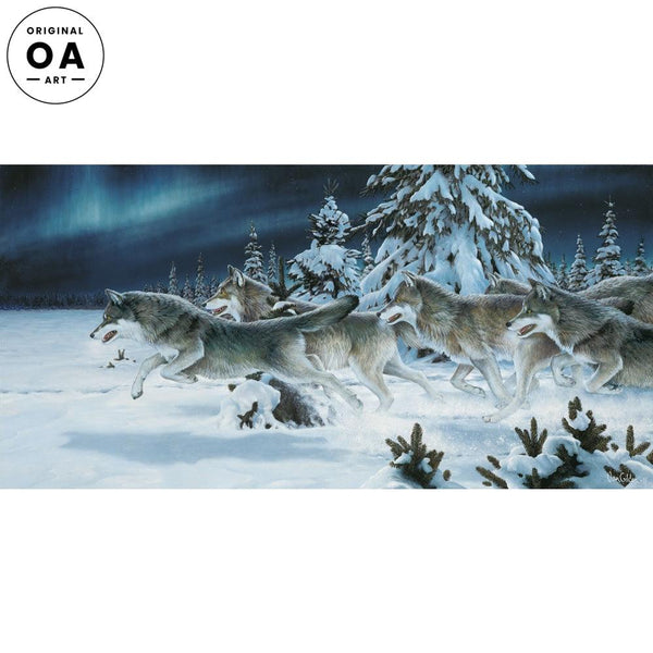 December Wolves 'Til Ten Years 激レア　廃盤 December Wolves Discography: Vinyl, CDs, & More | Discogs