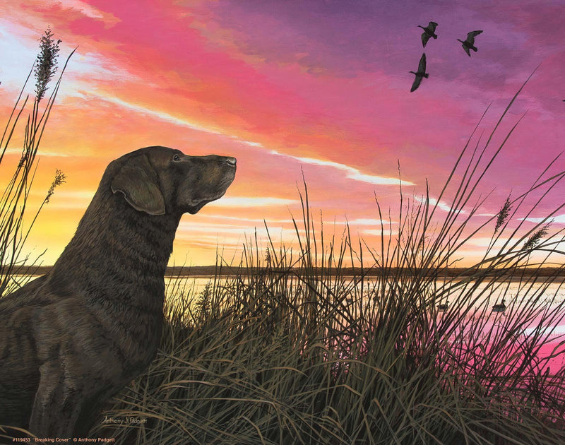 Breaking Cover by Anthony Padgett on Wild Wings shows a chocolate lab alert in tall grass, watching ducks fly across a vivid sunset sky.