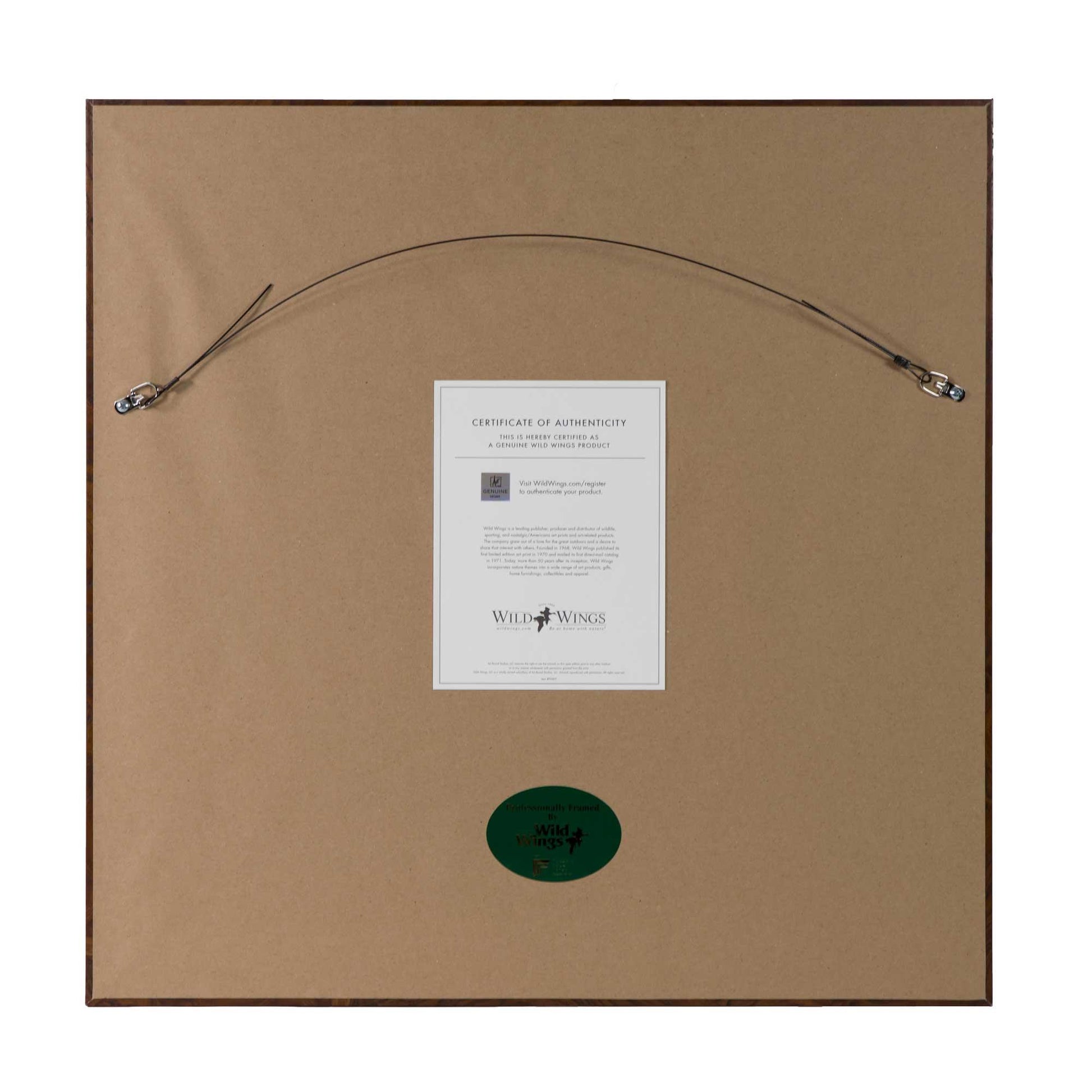 The Evening Moos Framed Print - Wild Wings