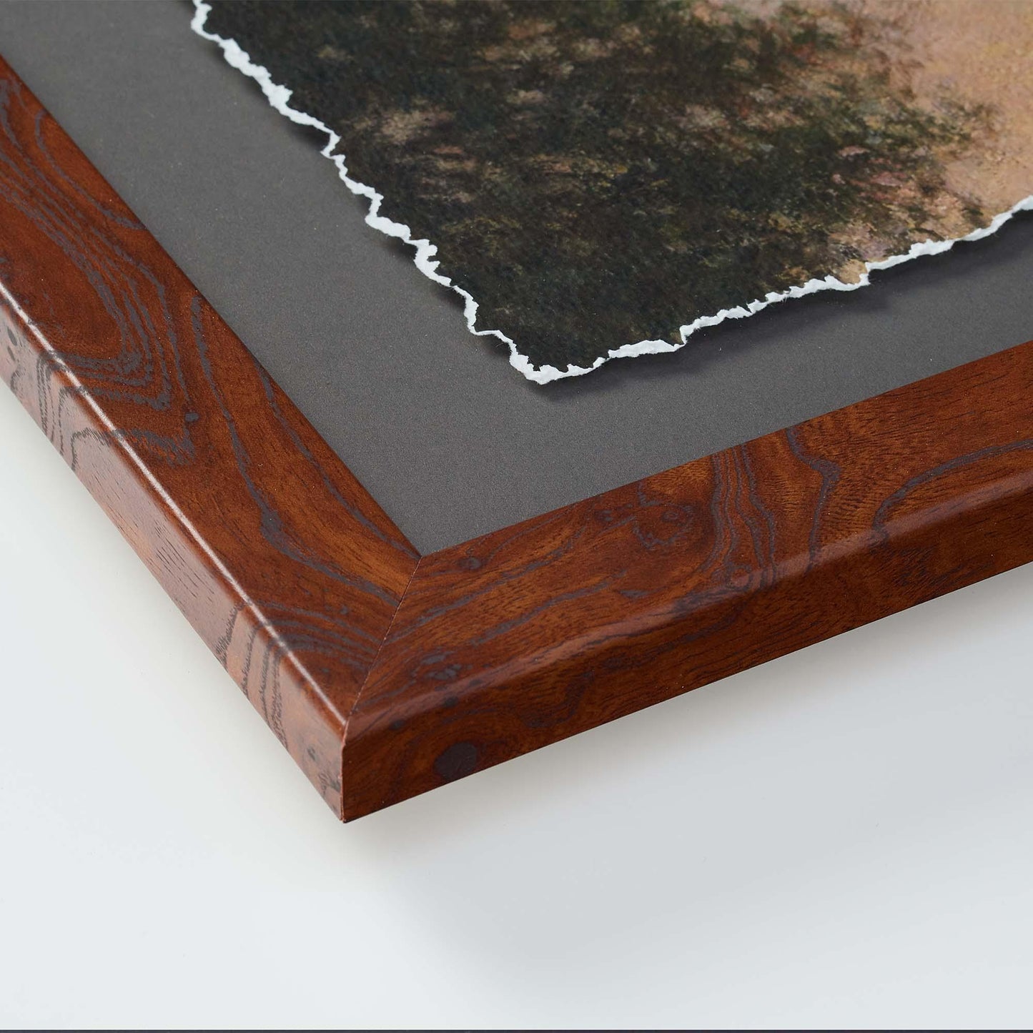 Young Cottontail Deckled Edge Paper Print - Wild Wings