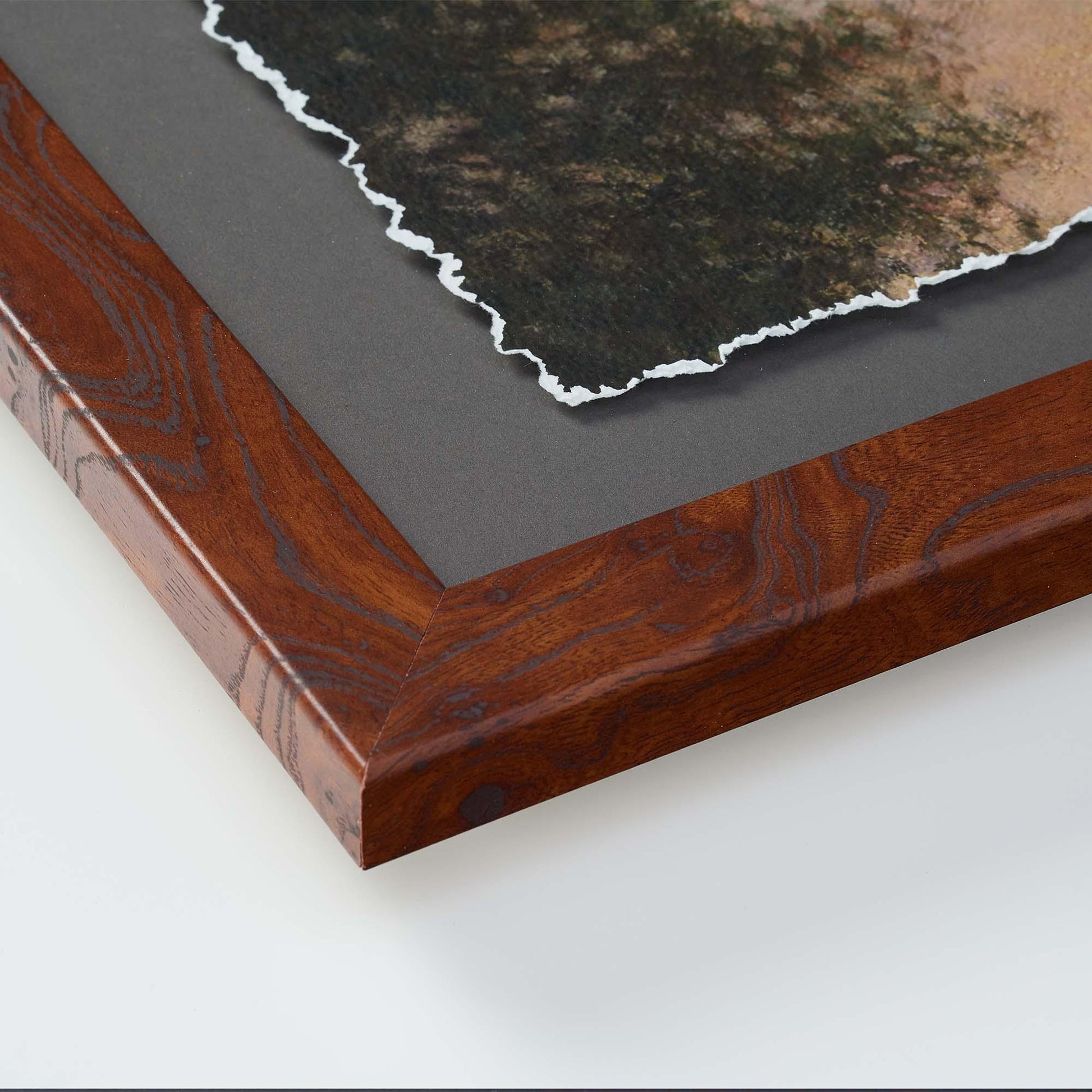 November—Red Fox Deckled Edge Paper Print - Wild Wings