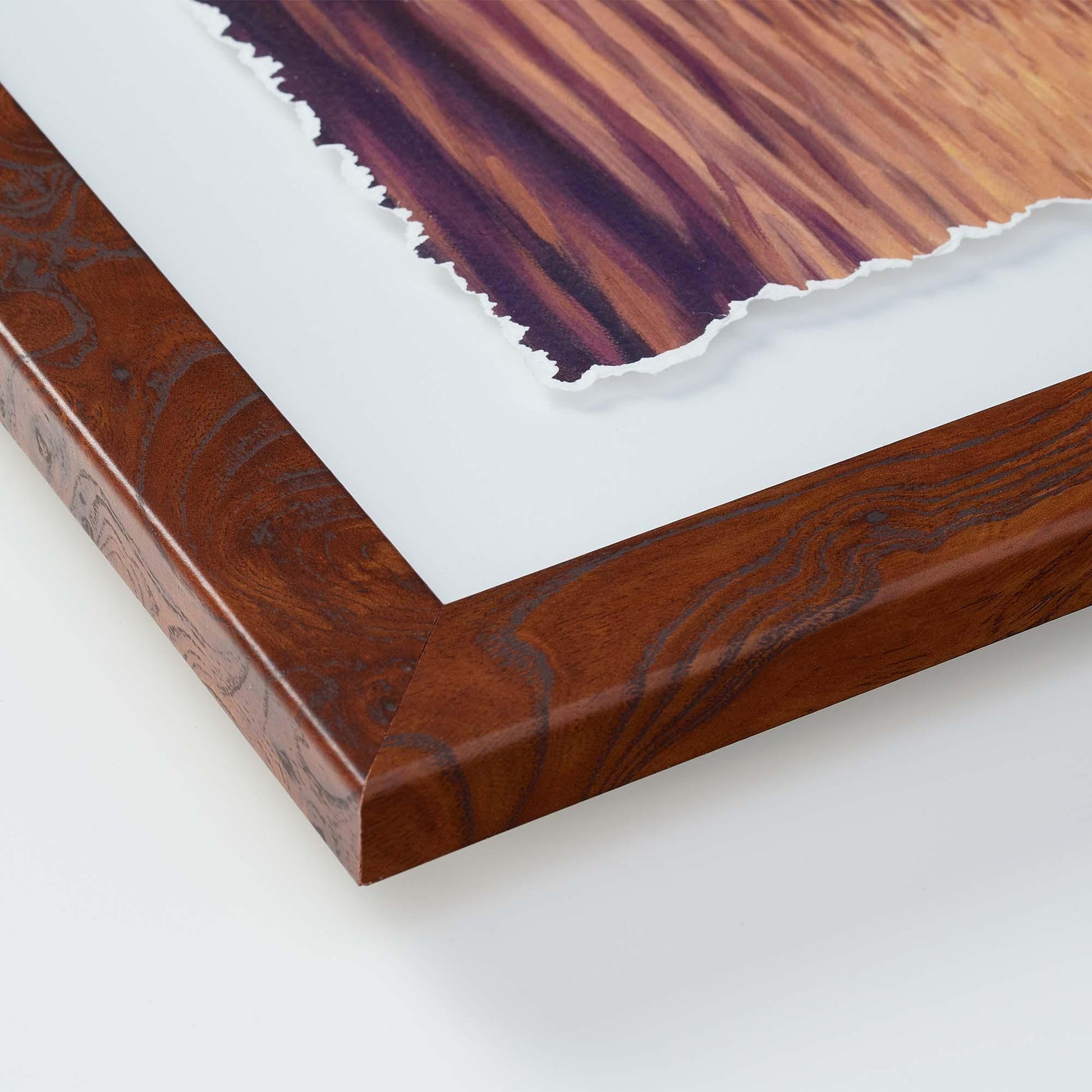 Young Cottontail Deckled Edge Paper Print - Wild Wings