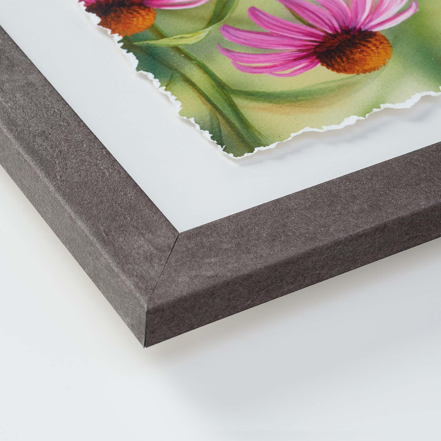 Ruby Throat & Dahlia Deckled Edge Paper Print - Wild Wings