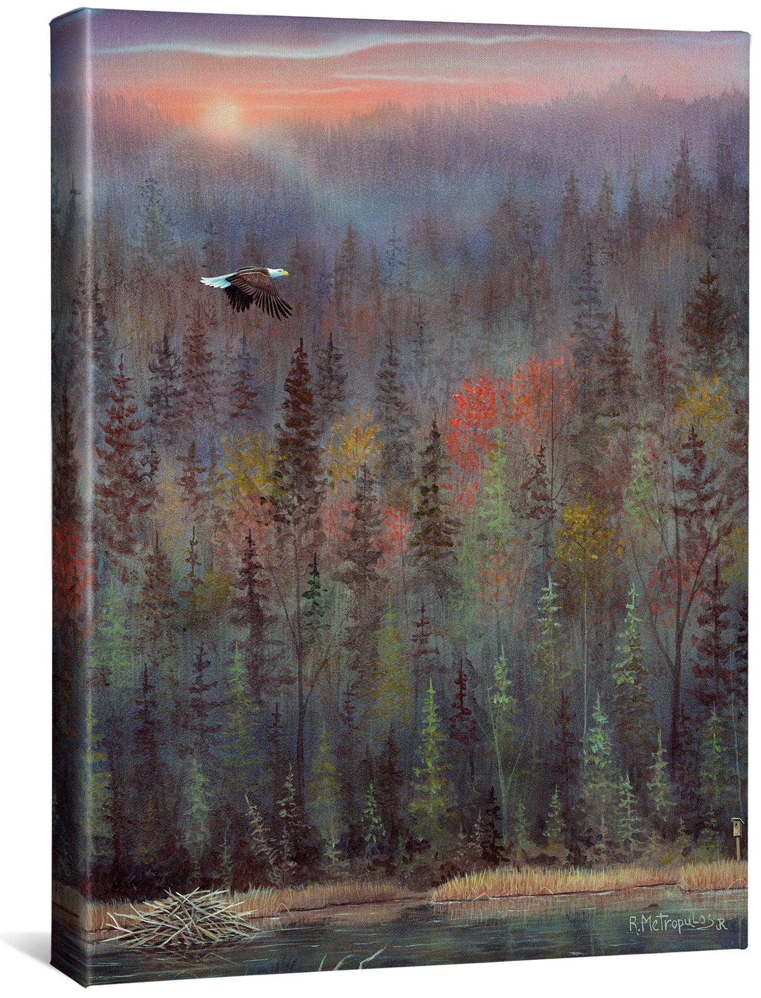 Misty ForestBald Eagle Gallery Wrapped Canvas - Wild Wings