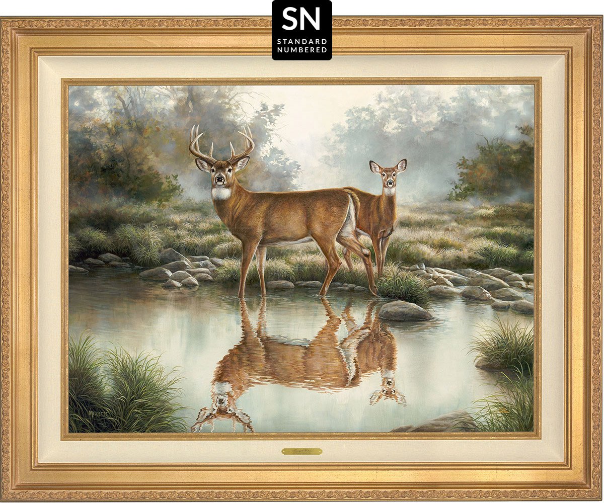 Tranquil Waters—Whitetail Deer; Standard Numbered Edition (SN) Master Artisan Canvas - Wild Wings