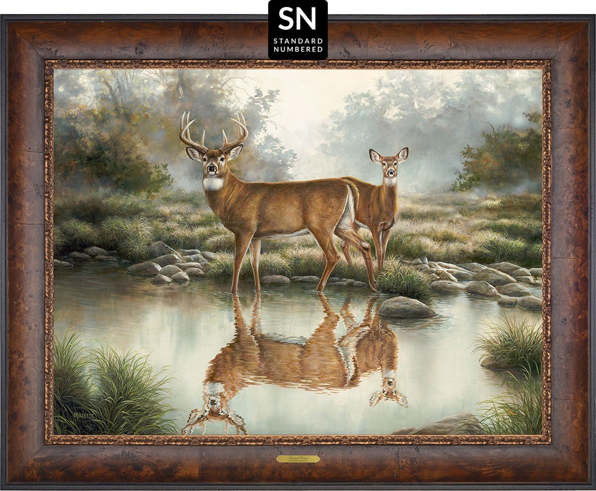 Tranquil Waters—Whitetail Deer; Standard Numbered Edition (SN) Master Artisan Canvas - Wild Wings
