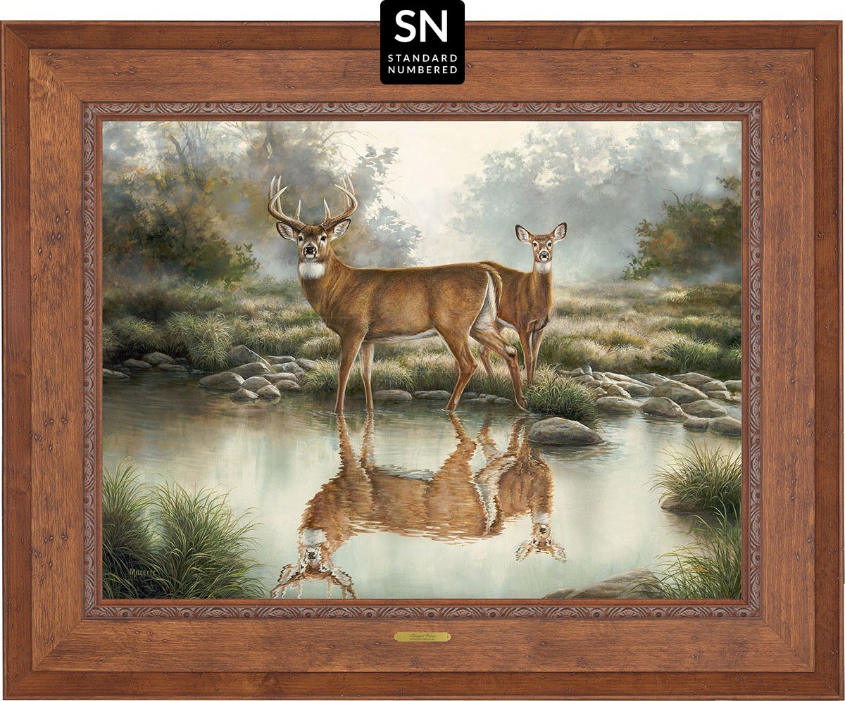 Tranquil Waters—Whitetail Deer; Standard Numbered Edition (SN) Master Artisan Canvas - Wild Wings