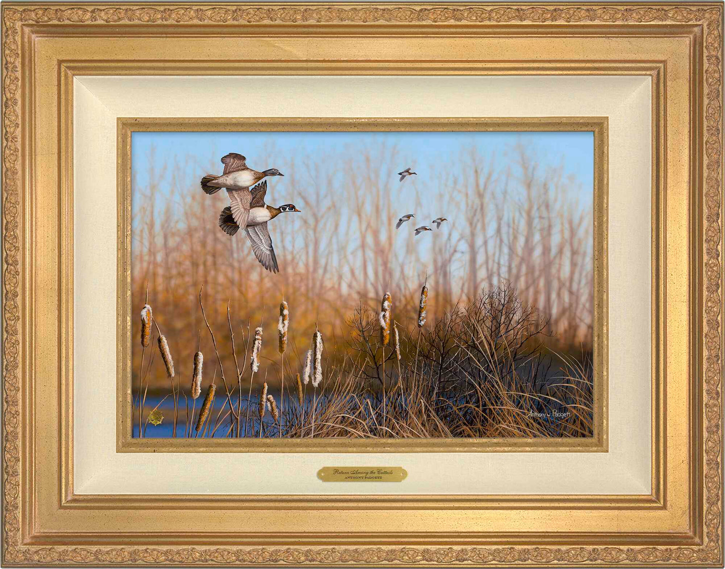 Return Among the Cattails - Wood Ducks; Studio Artist Edition (SA)