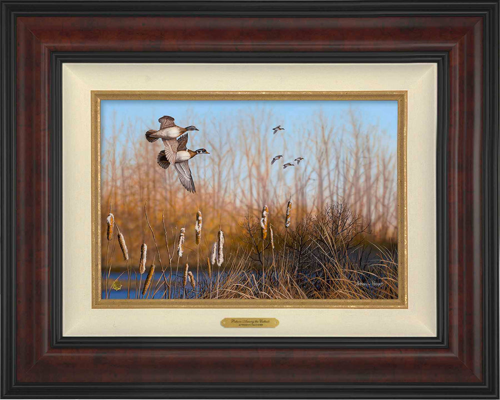 Return Among the Cattails - Wood Ducks; Standard Numbered Edition (SN)
