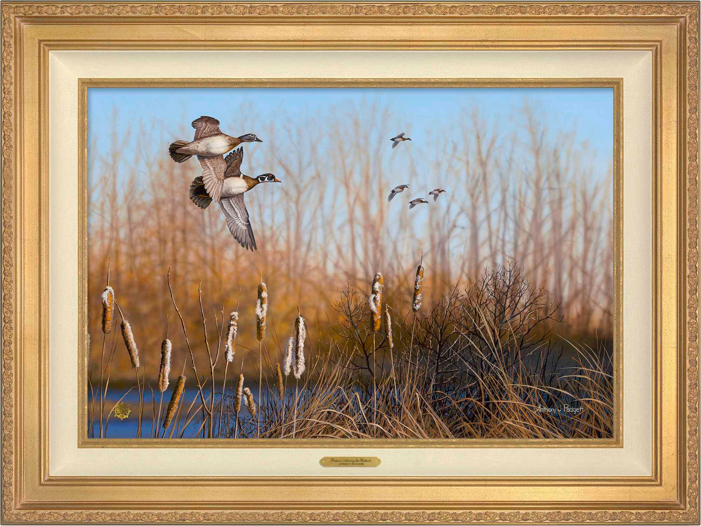 Return Among the Cattails - Wood Ducks; Standard Numbered Edition (SN)