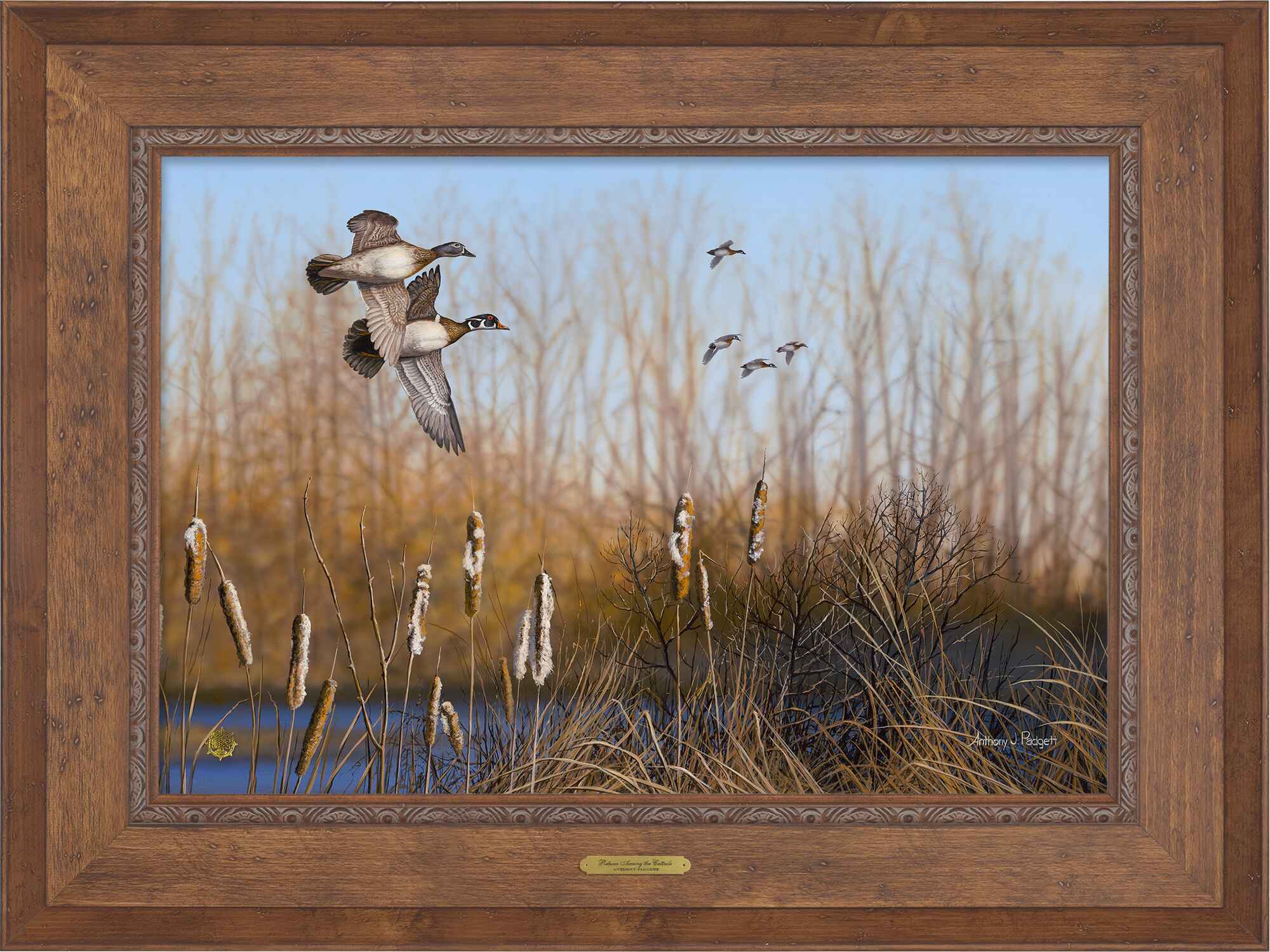 Return Among the Cattails - Wood Ducks; Standard Numbered Edition