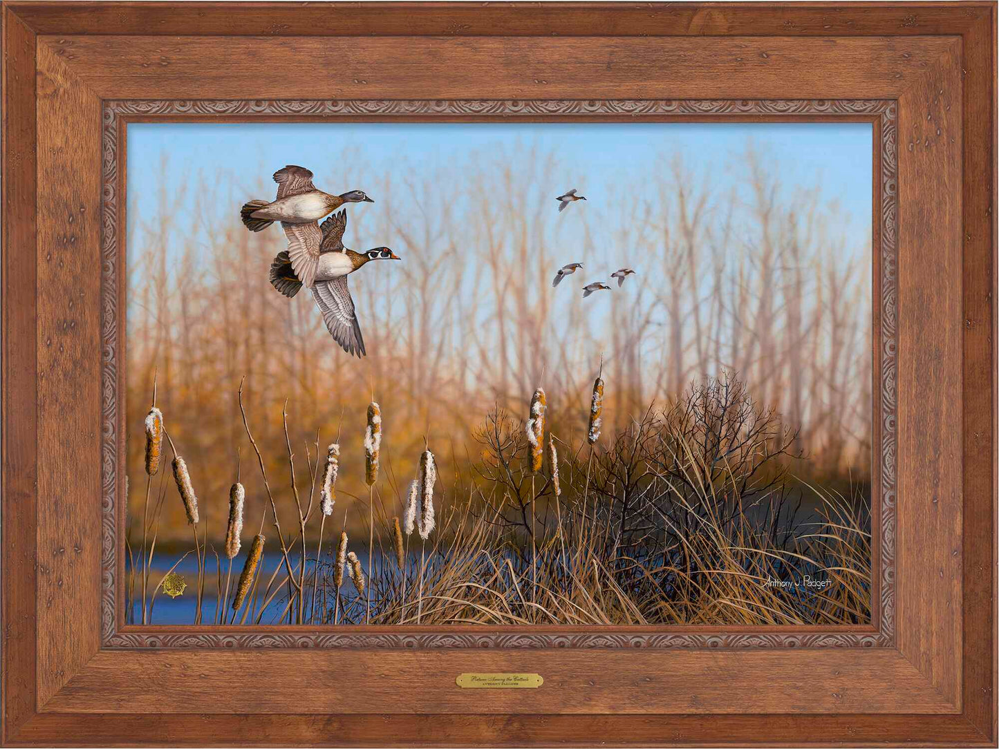 Return Among The Cattail - Wood Ducks Artist Proof Edition (AP)