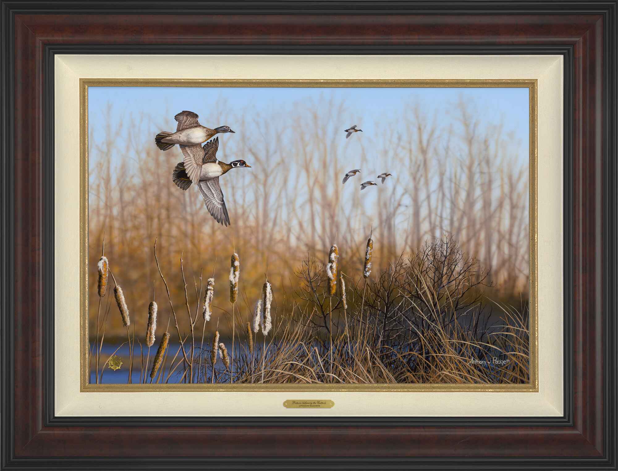 Return Among the Cattails - Wood Ducks; Standard Numbered Edition