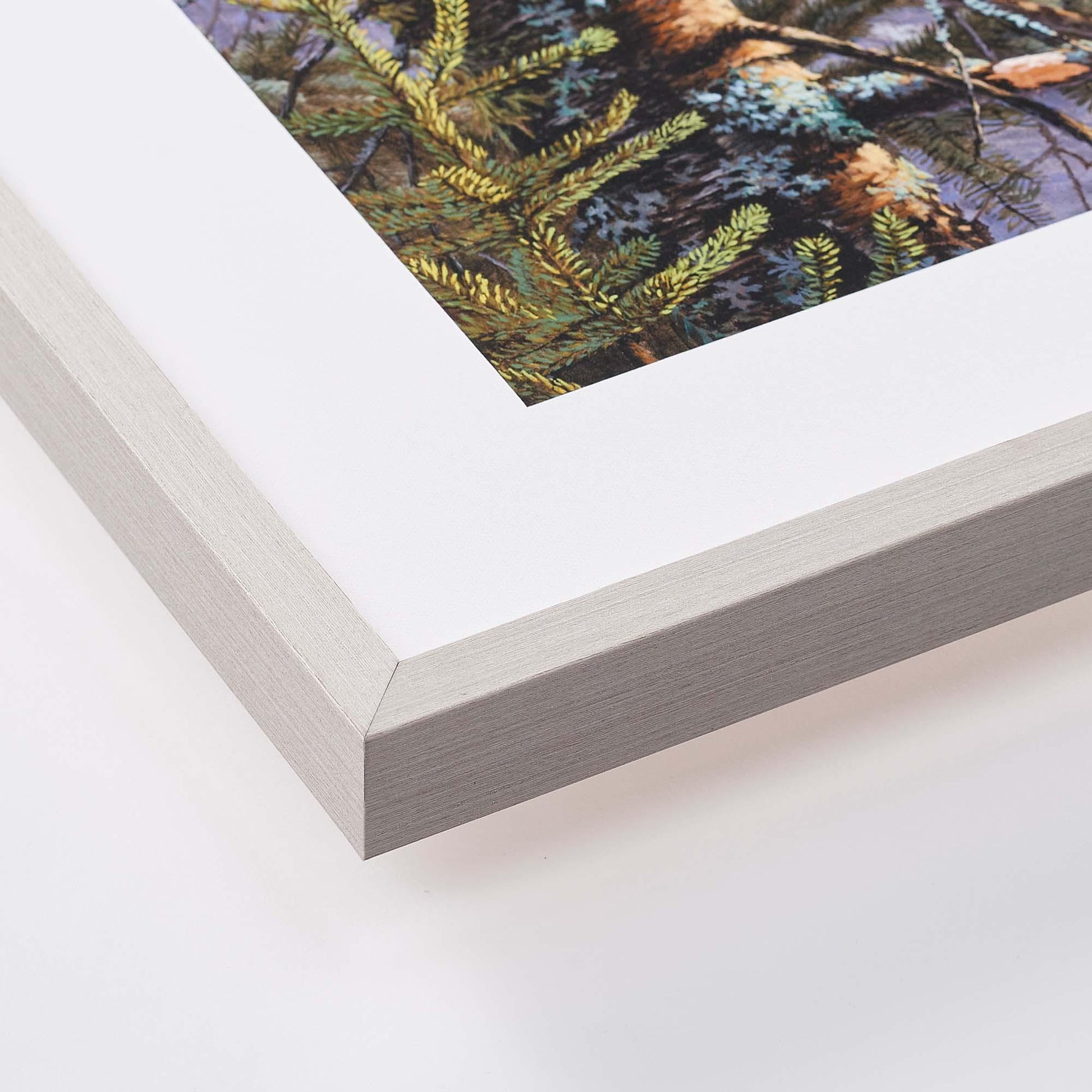 Anything for Love—Elk Limited Edition Paper Print - Wild Wings