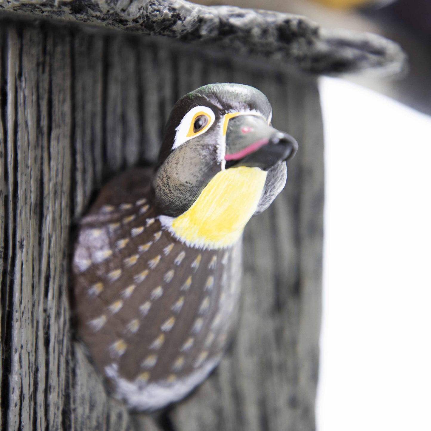 Nesting Wood Duck Pair Sculpture - Wild Wings
