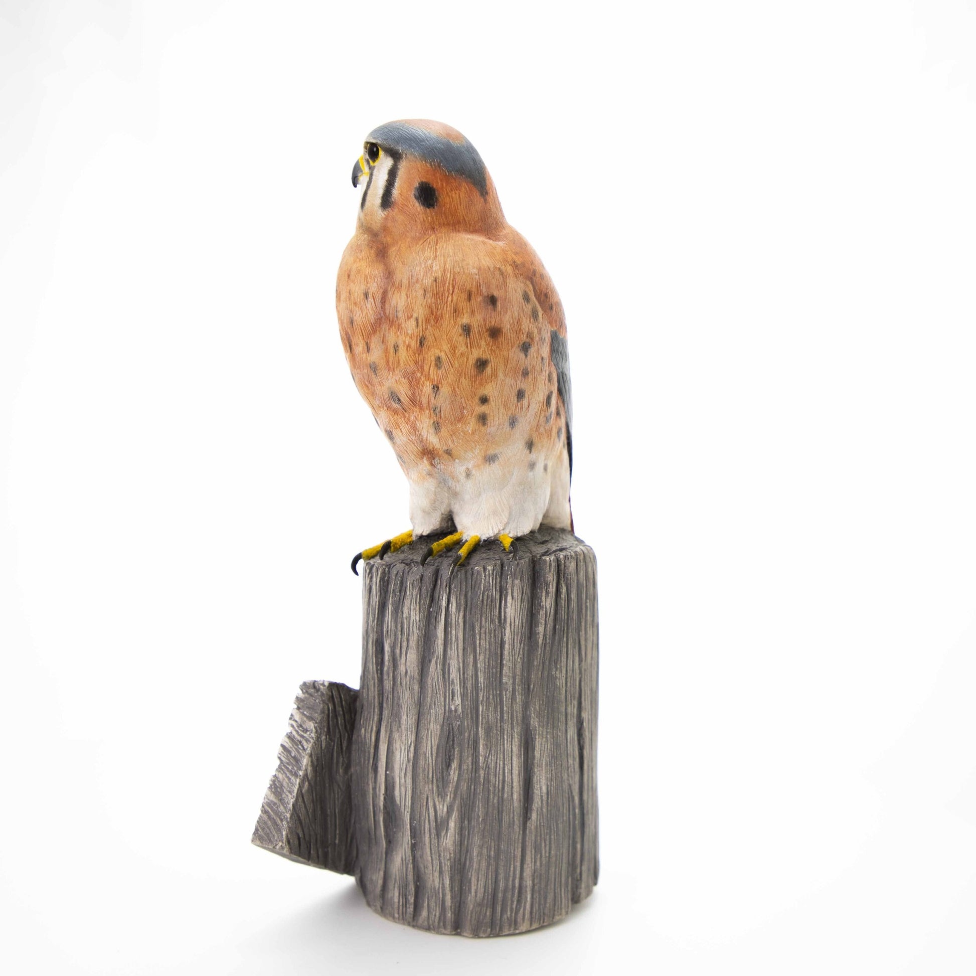 Kestrel Sculpture - Wild Wings