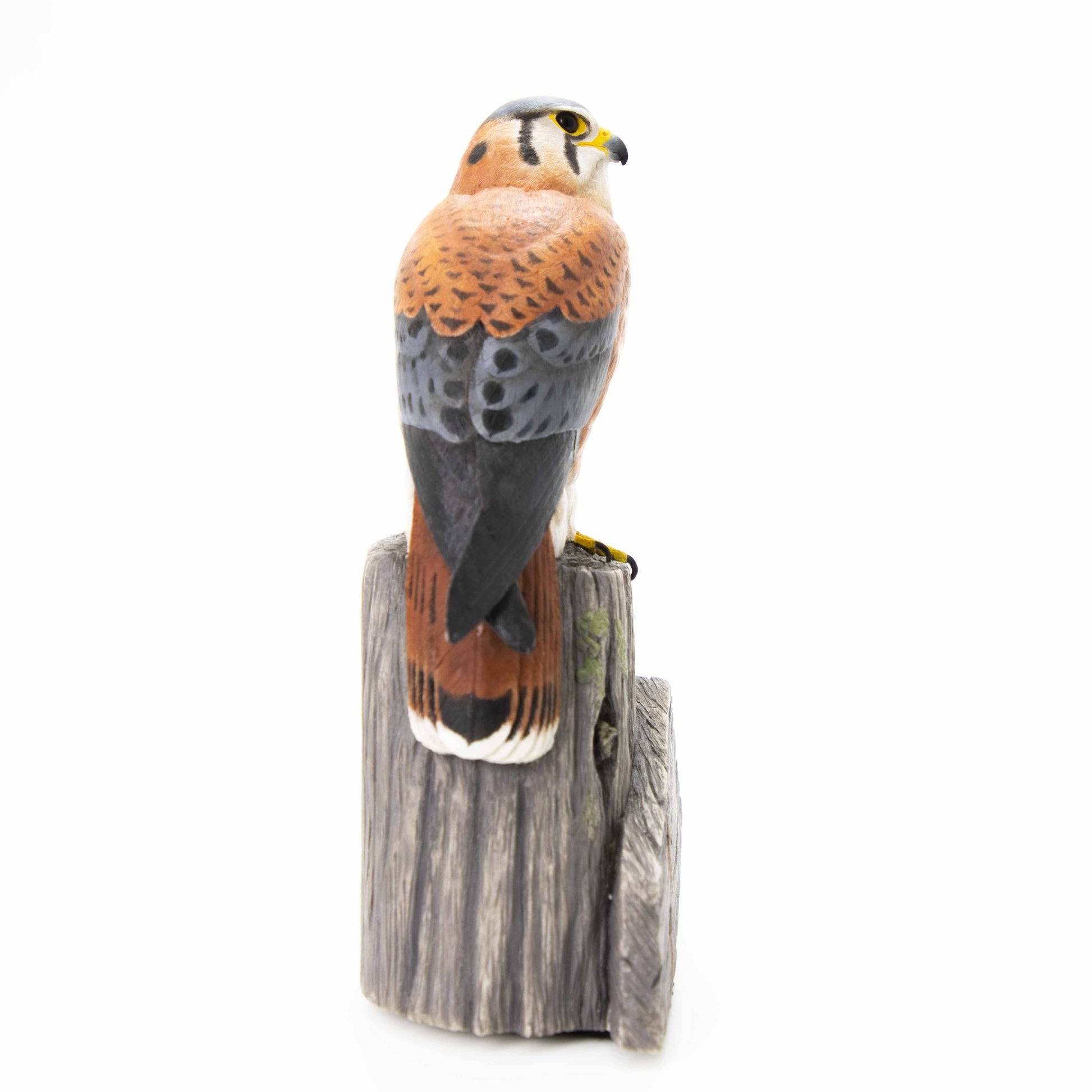 Kestrel Sculpture - Wild Wings