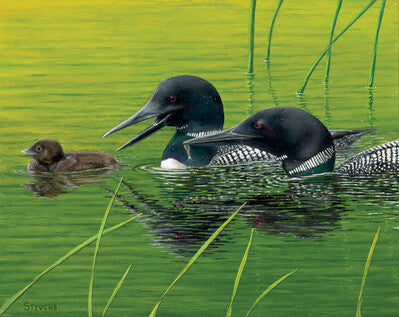 It's Dinner Time, Now Eat! - Loons