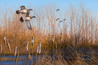 Return Among the Cattails - Wood Ducks; Studio Artist Edition (SA)