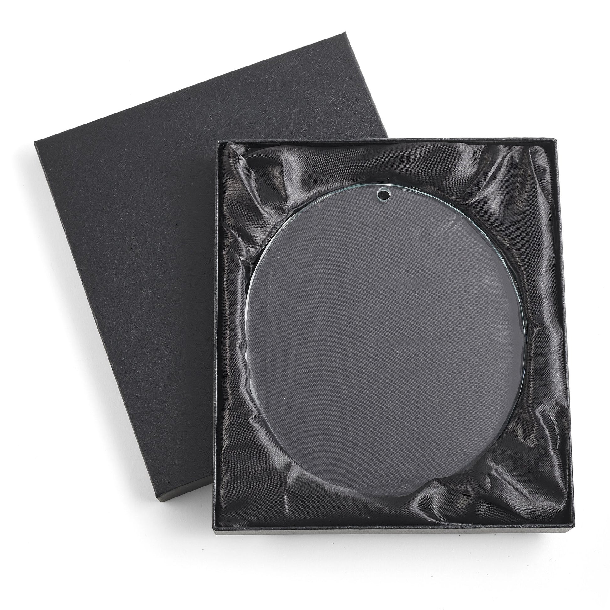 The Soul is in the Eye - Appaloosa Suncatcher - Wild Wings