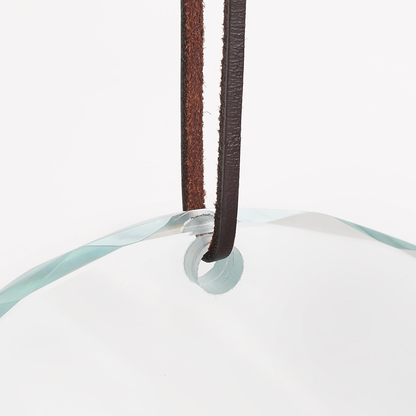 The Soul is in the Eye - Appaloosa Suncatcher - Wild Wings