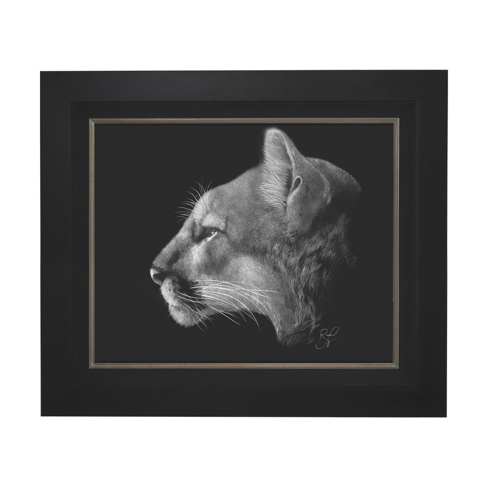 Venetorial-Cougar.png