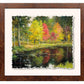 A Forest Pool—Wood Ducks Deckled Edge Paper Print - Wild Wings