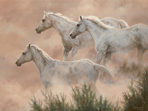 Above the Clouds Limited Edition Paper Print - Wild Wings