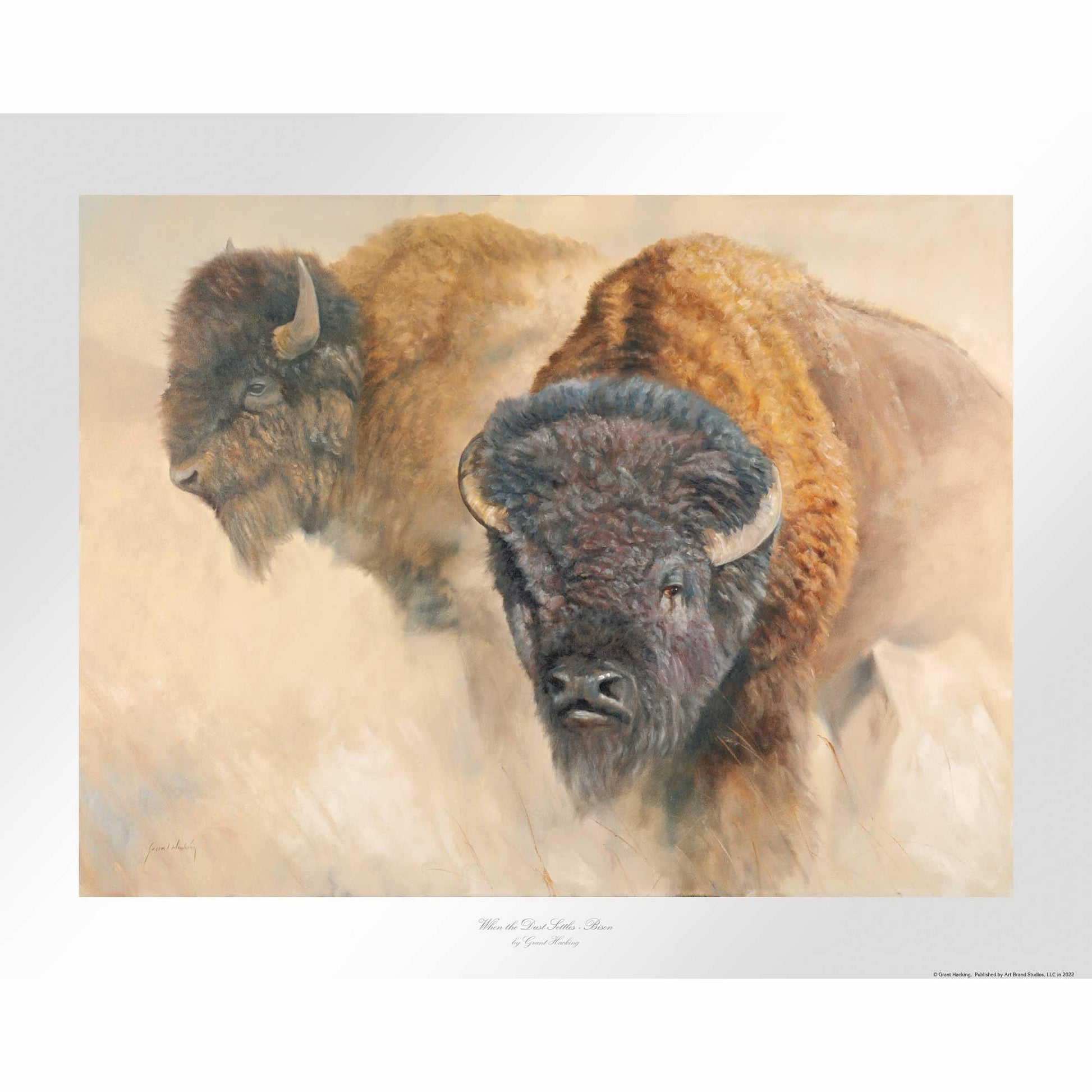 When the Dust Settles-Bison Limited Edition Paper Print - Wild Wings