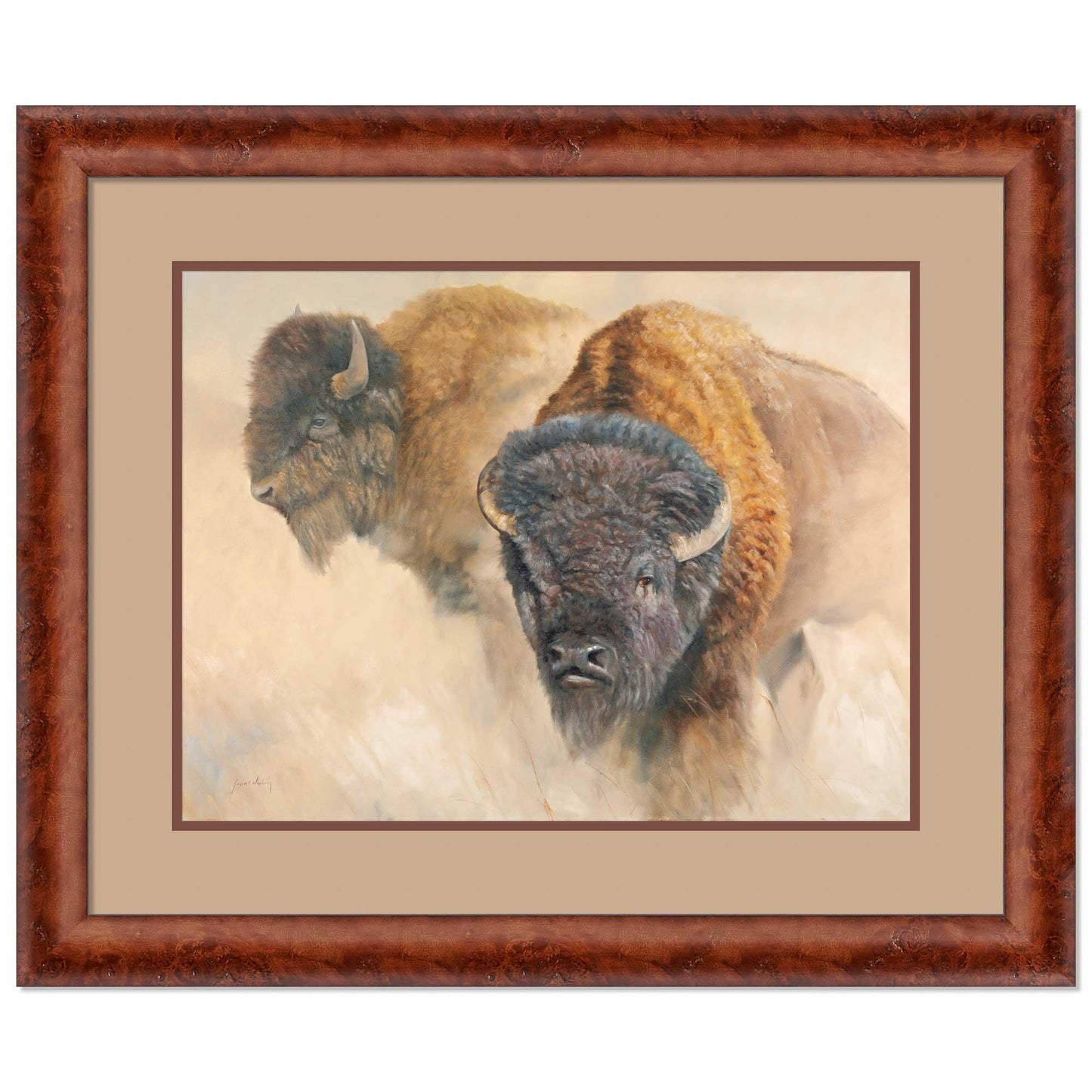 When the Dust Settles-Bison Limited Edition Paper Print - Wild Wings