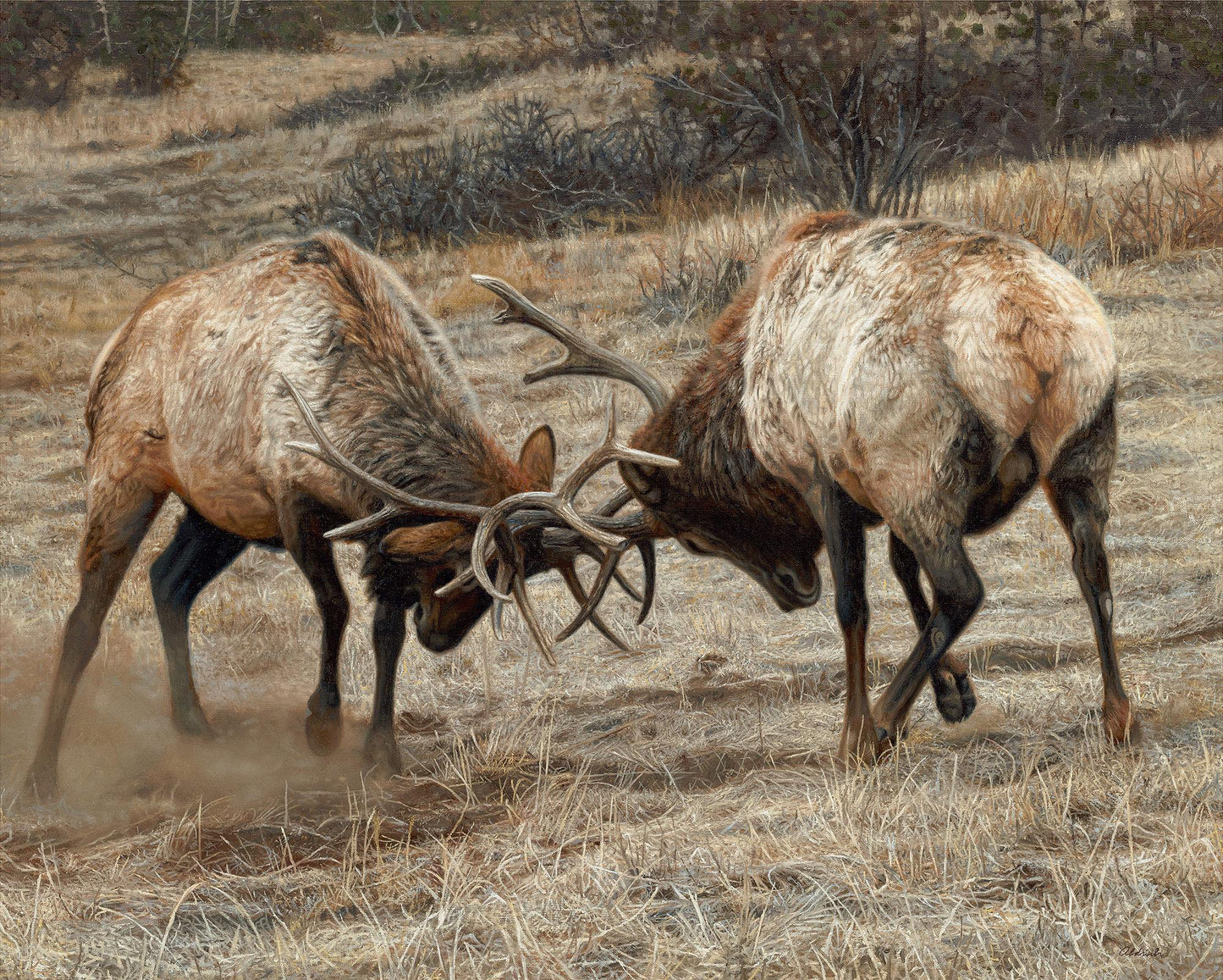 Anything for Love—Elk Limited Edition Paper Print - Wild Wings
