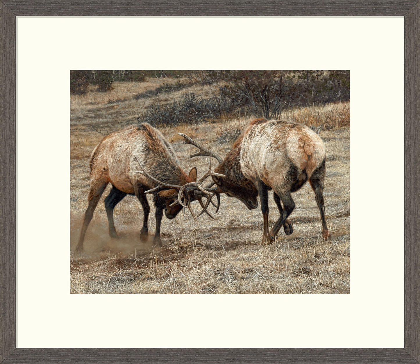 Anything for Love—Elk Limited Edition Paper Print - Wild Wings