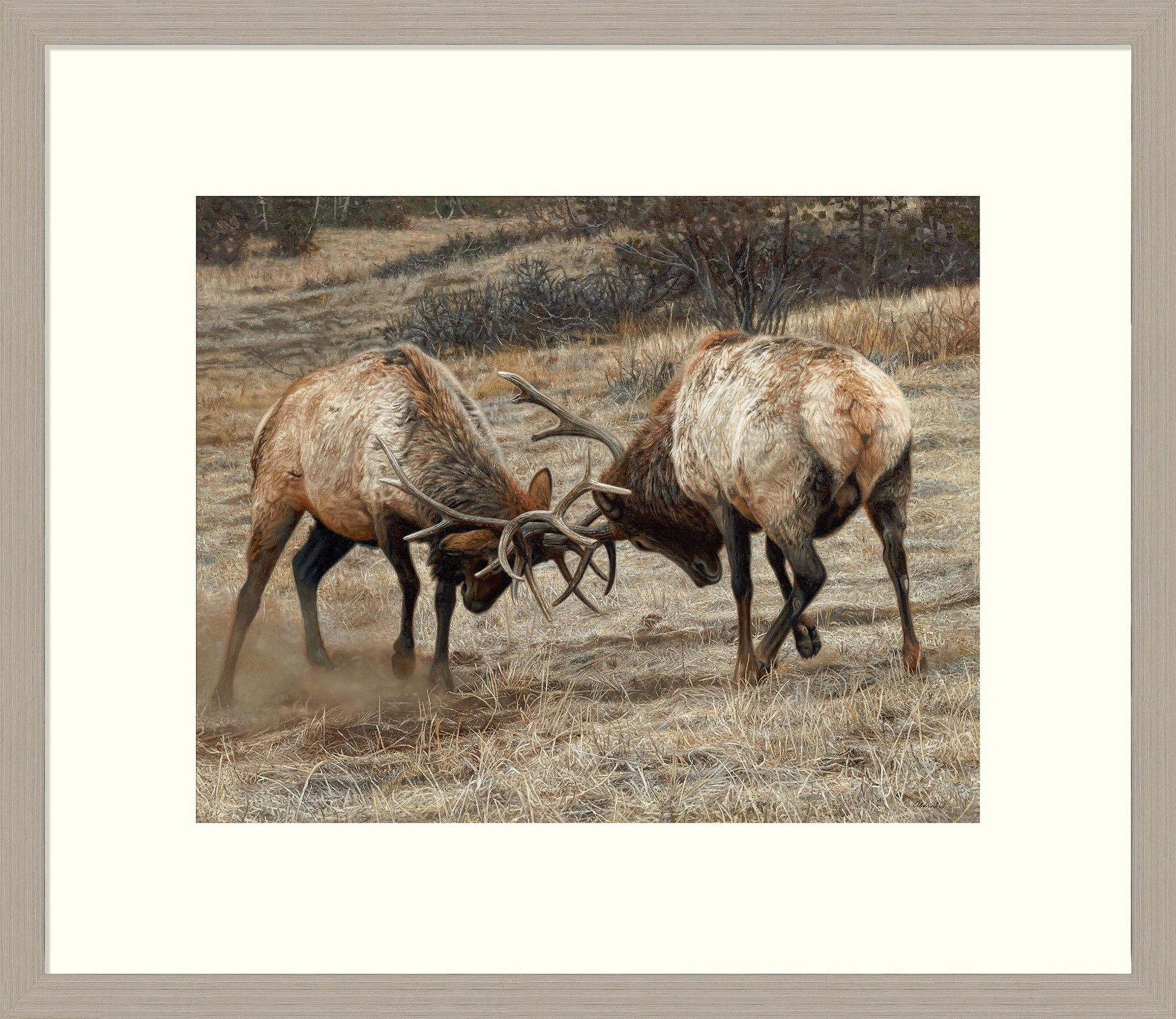 Anything for Love—Elk Limited Edition Paper Print - Wild Wings