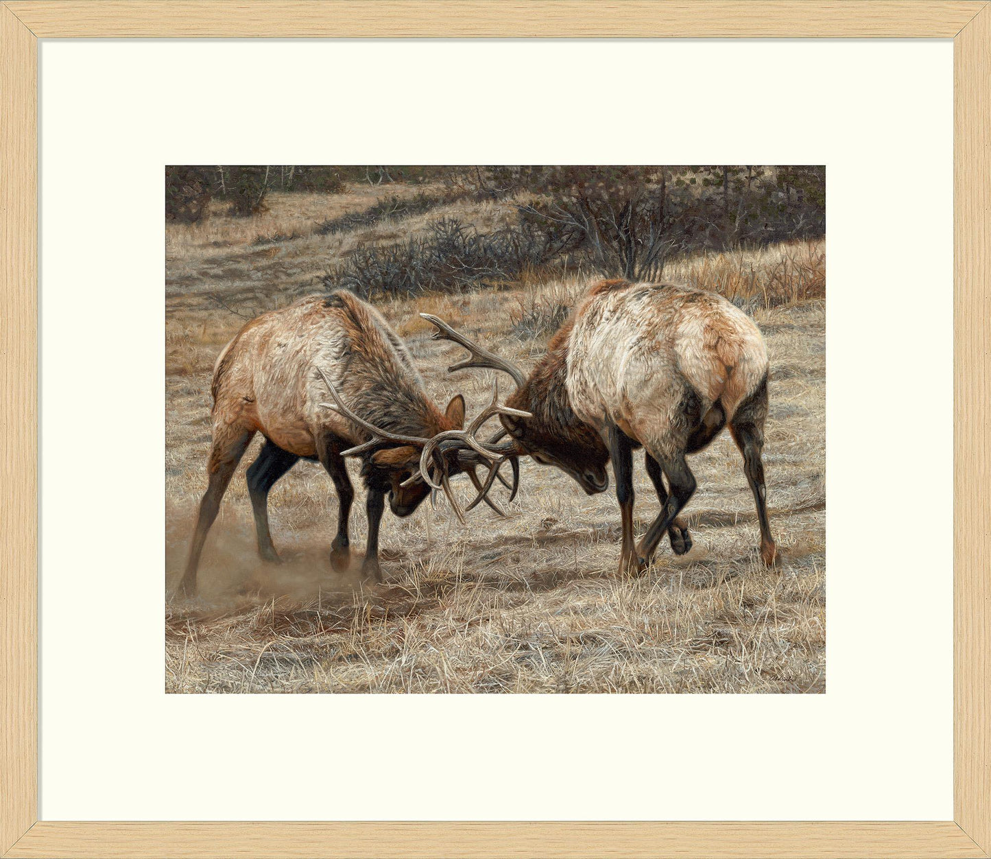 Anything for Love—Elk Limited Edition Paper Print - Wild Wings