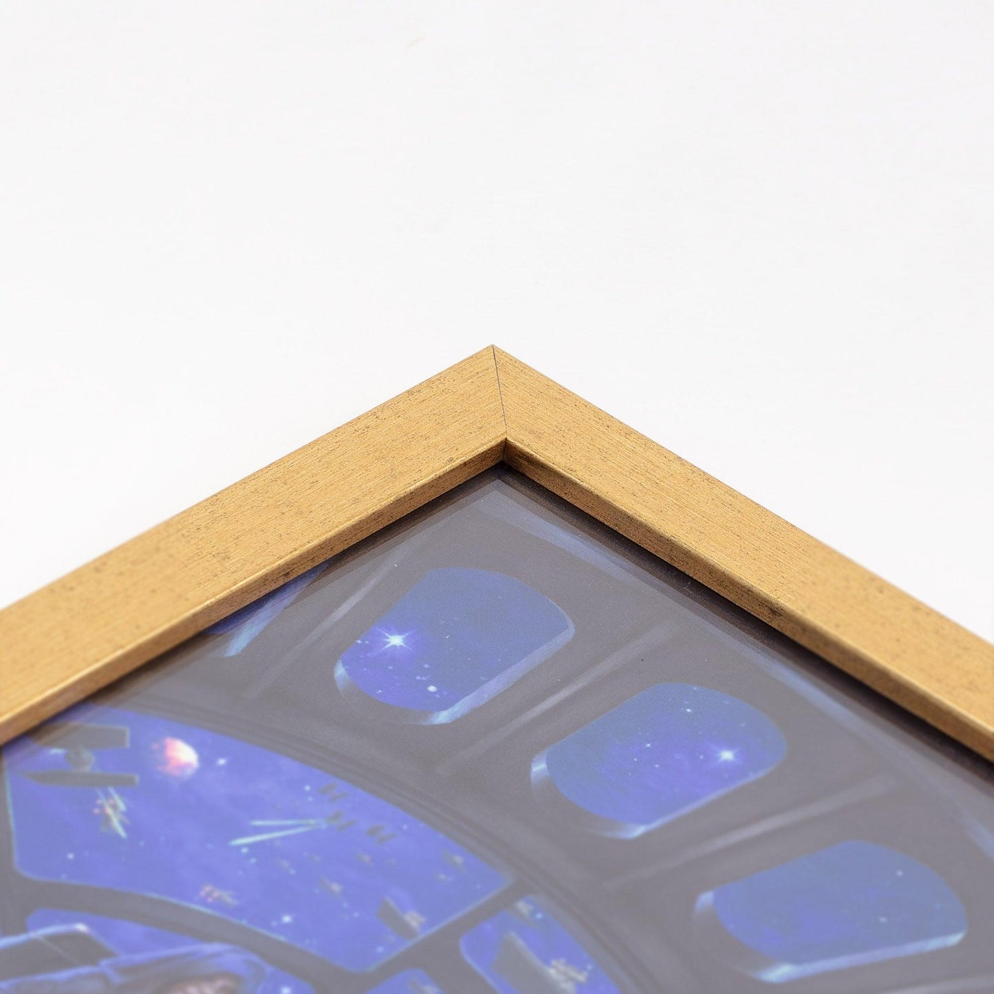 Autumn Vista—Western Bluebird Art Print - Wild Wings